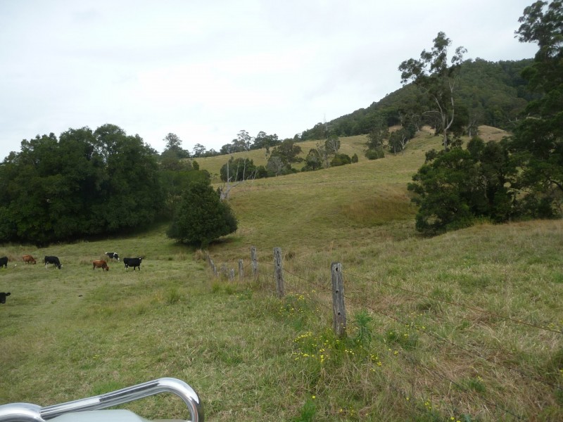 1843 Comboyne Road, Killabakh NSW 2429