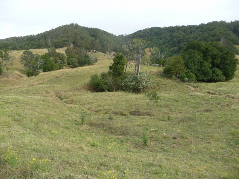 1843 Comboyne Road, Killabakh NSW 2429