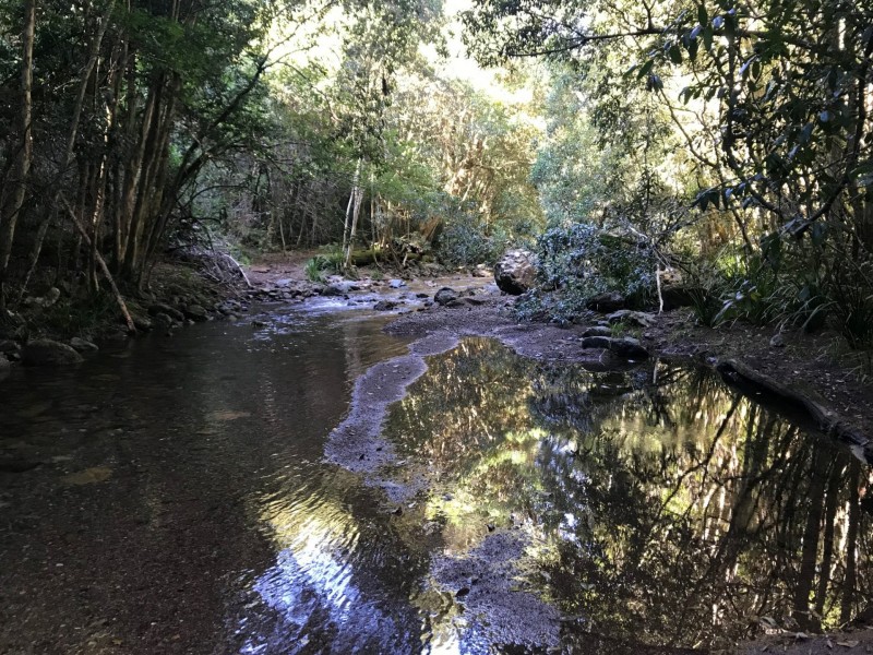 Wherrol Flat NSW 2429