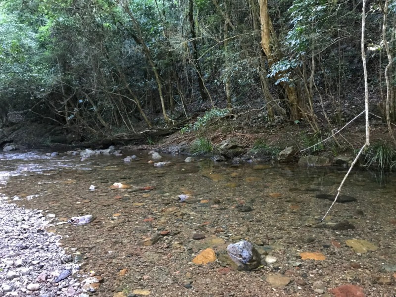 Wherrol Flat NSW 2429