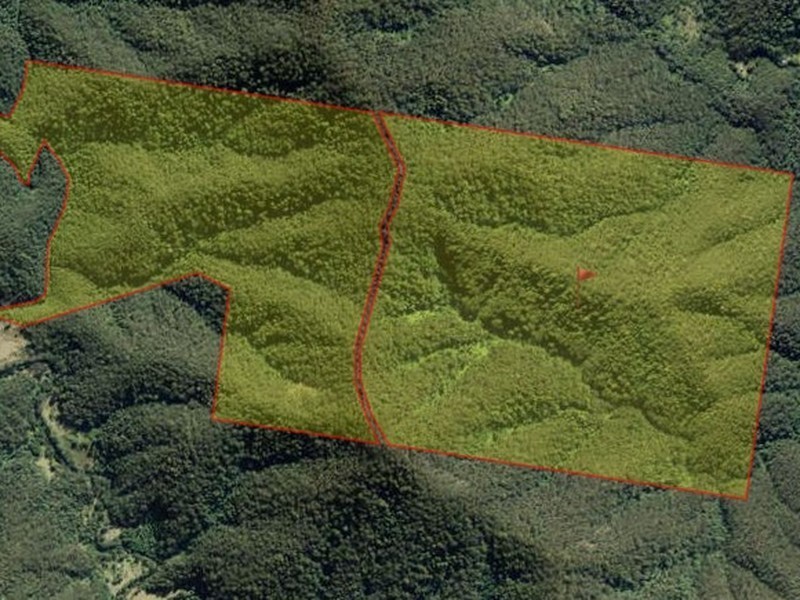 Wherrol Flat NSW 2429