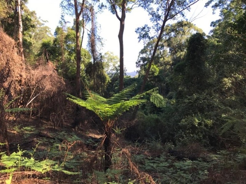 Wherrol Flat NSW 2429