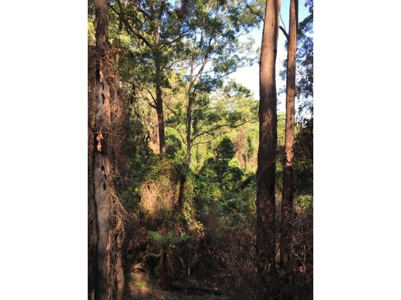 Wherrol Flat NSW 2429