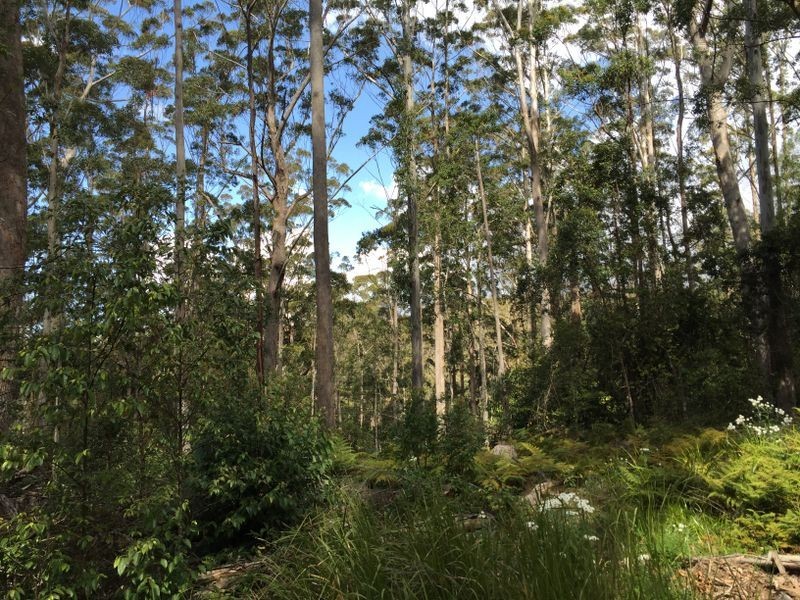 Wherrol Flat NSW 2429