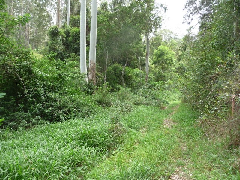 Wherrol Flat NSW 2429