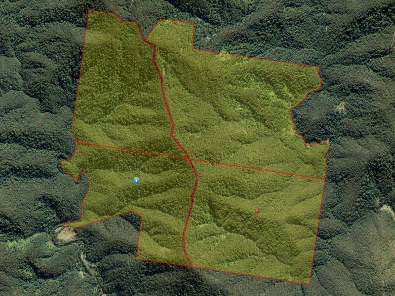 Wherrol Flat NSW 2429