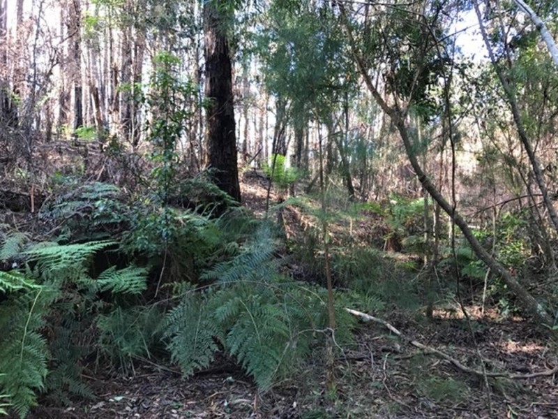 Wherrol Flat NSW 2429