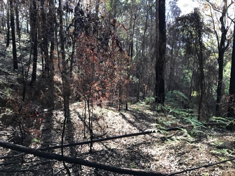 Wherrol Flat NSW 2429