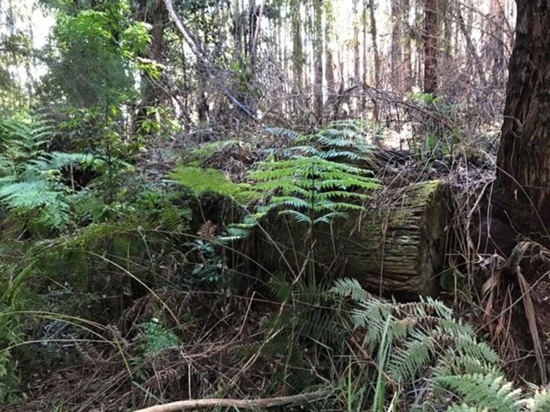 Wherrol Flat NSW 2429