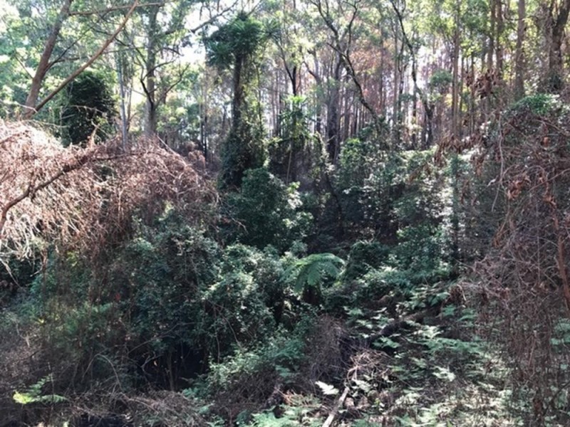 Wherrol Flat NSW 2429