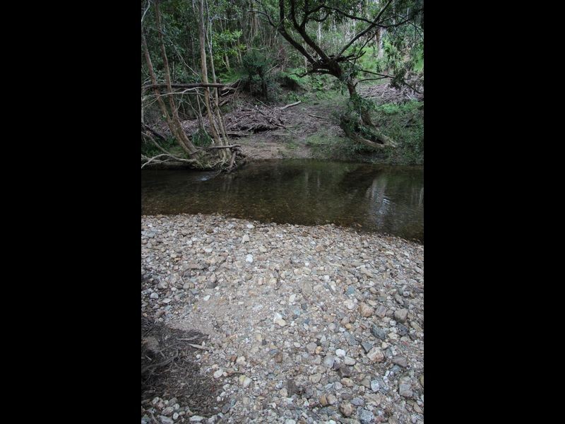 Doyles River NSW 2446