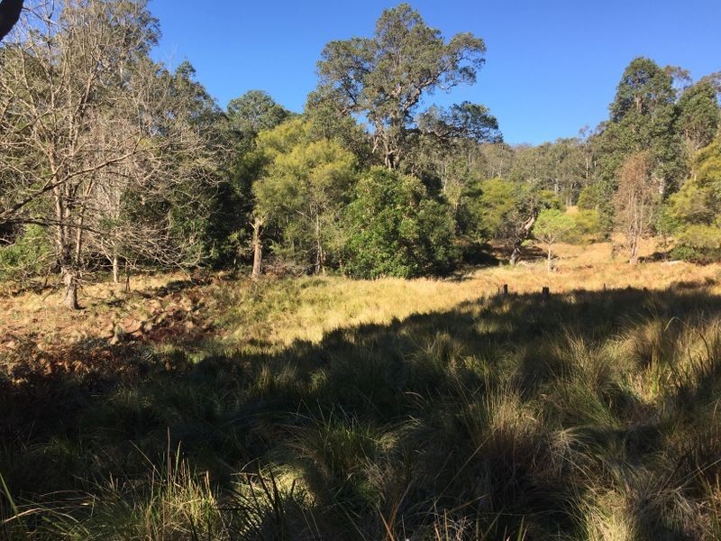 Doyles River NSW 2446