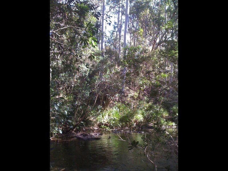 Doyles River NSW 2446
