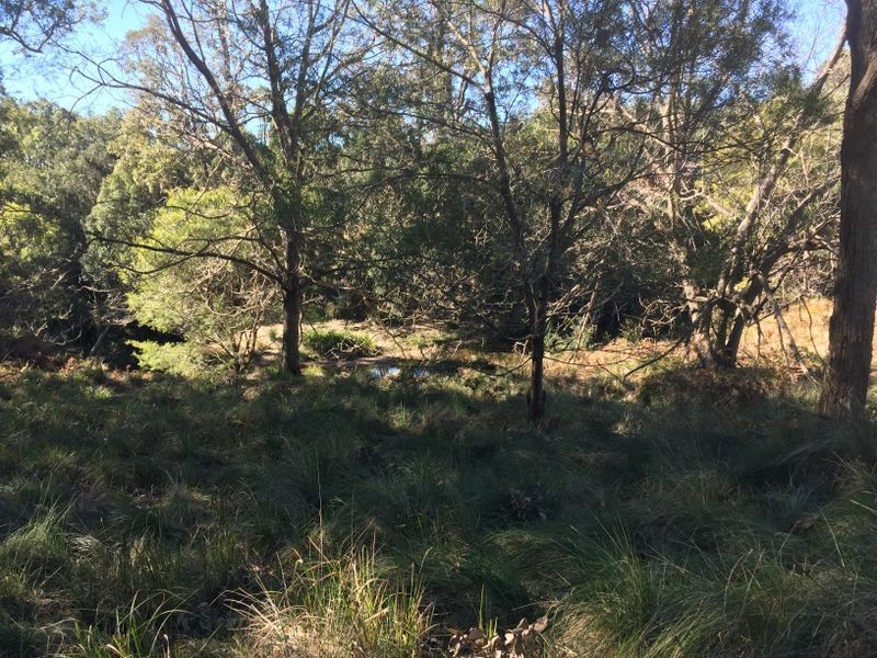 Doyles River NSW 2446