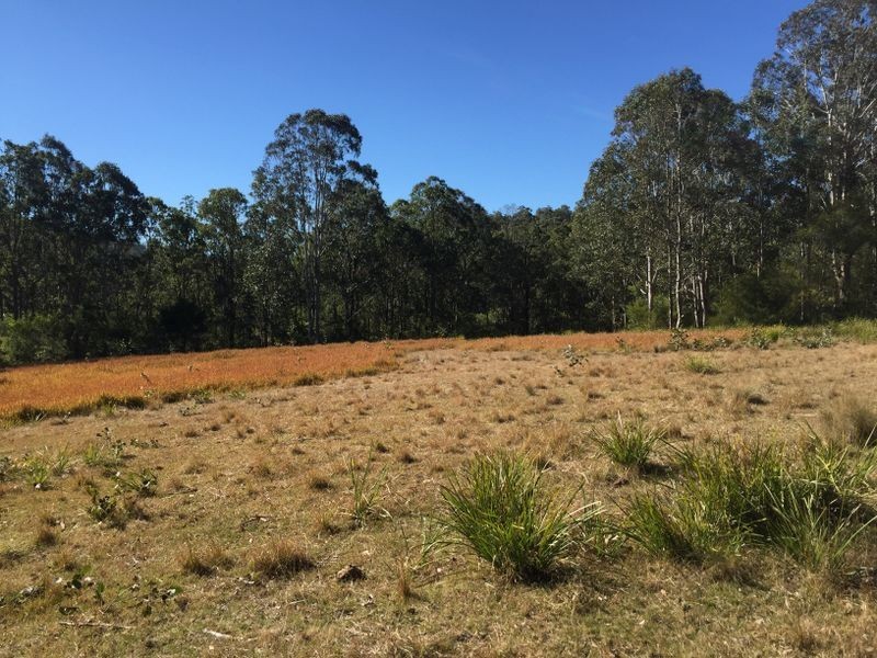 Doyles River NSW 2446