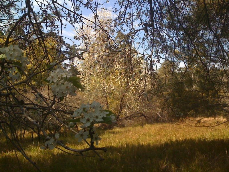 Doyles River NSW 2446