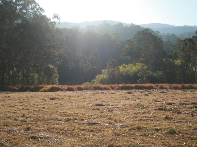 Doyles River NSW 2446