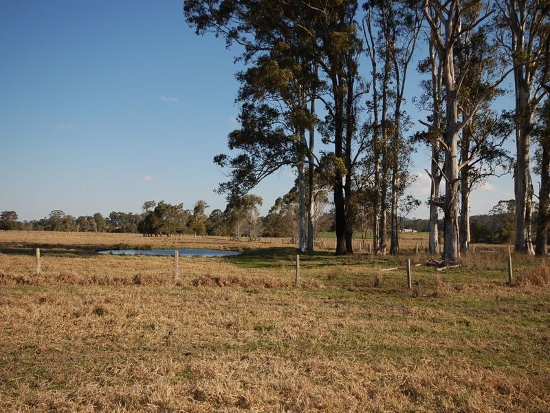 1356 Comboyne Road, Killabakh NSW 2429