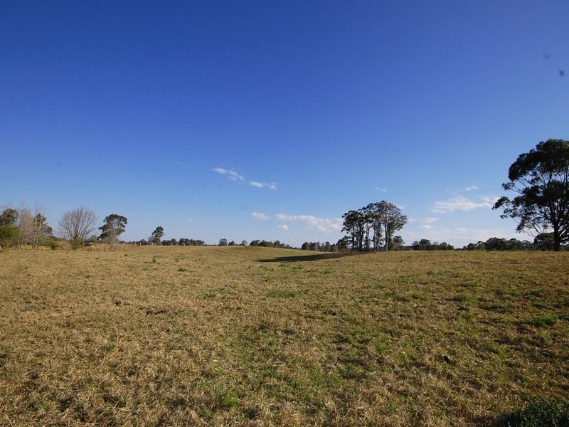 1356 Comboyne Road, Killabakh NSW 2429