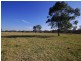 1356 Comboyne Road, Killabakh NSW 2429