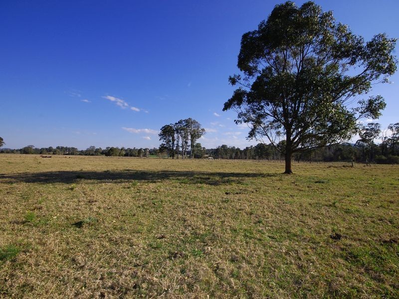 1356 Comboyne Road, Killabakh NSW 2429