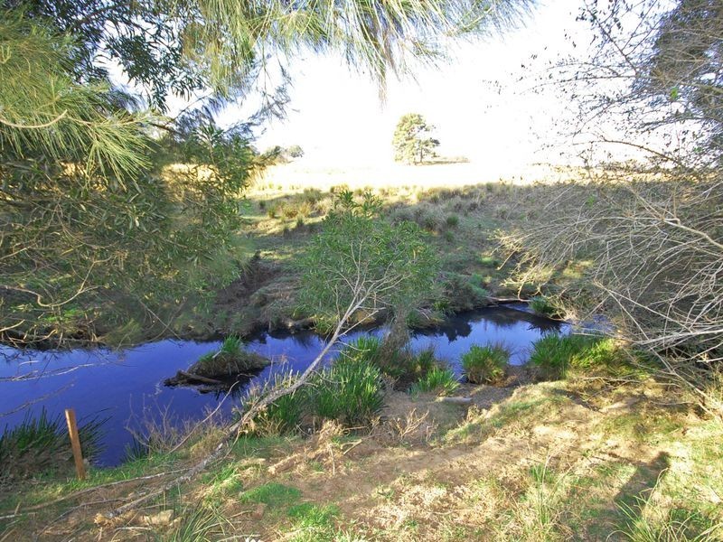 1356 Comboyne Road, Killabakh NSW 2429