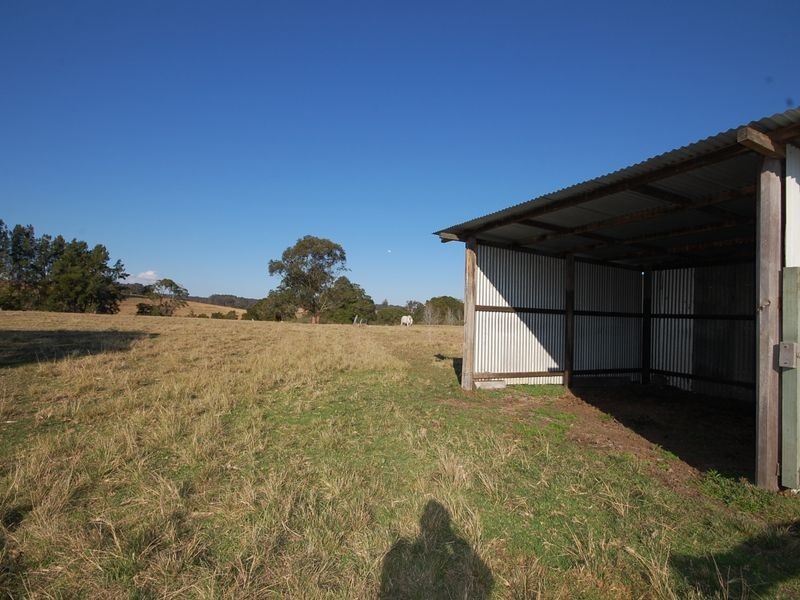 1356 Comboyne Road, Killabakh NSW 2429