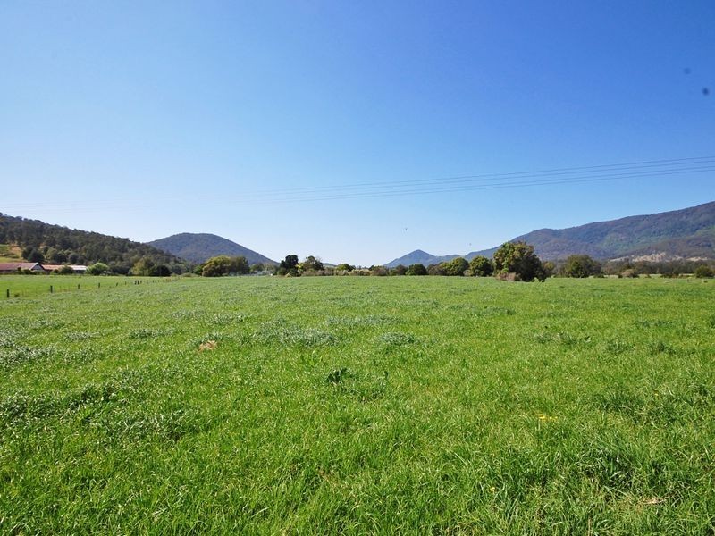 1553 Nowendoc Road MOUNT GEORGE via, Wingham NSW 2429