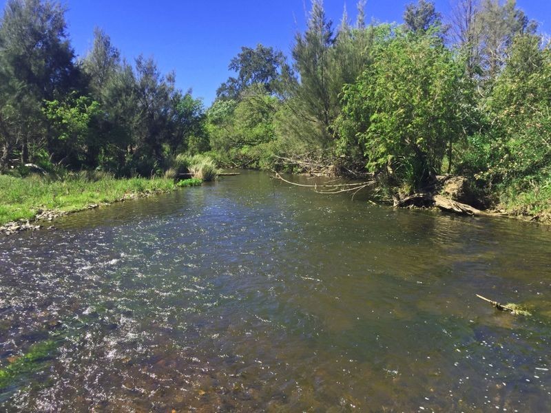 1553 Nowendoc Road MOUNT GEORGE via, Wingham NSW 2429