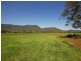 1553 Nowendoc Road MOUNT GEORGE via, Wingham NSW 2429