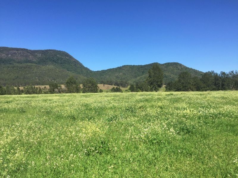 1553 Nowendoc Road MOUNT GEORGE via, Wingham NSW 2429