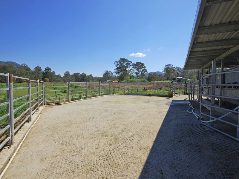 1553 Nowendoc Road MOUNT GEORGE via, Wingham NSW 2429