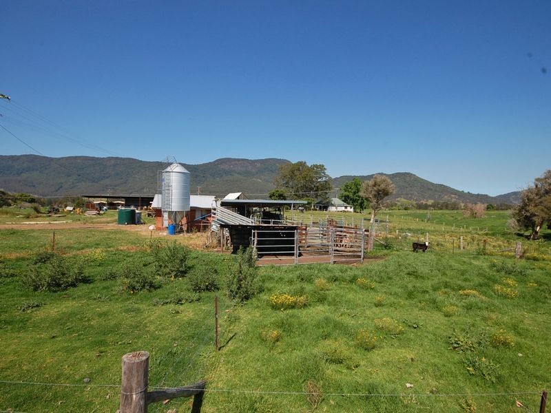 1553 Nowendoc Road MOUNT GEORGE via, Wingham NSW 2429