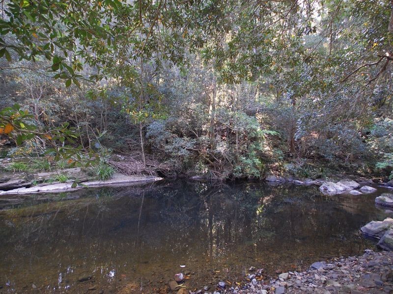 664 Warrawillah Road MARLEE via, Wingham NSW 2429