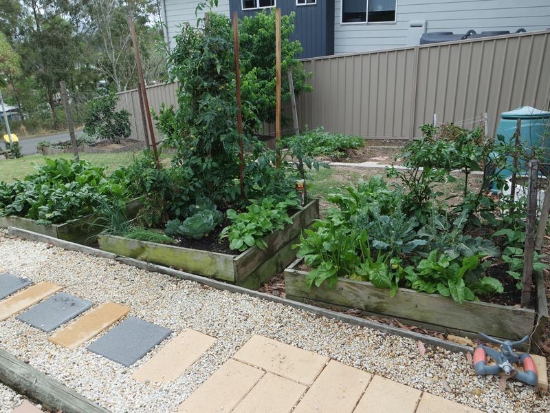 2 Adelaide Close, Wingham NSW 2429