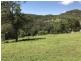 Caparra NSW 2429