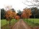 255 Cooks Road, Elands NSW 2429