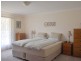 255 Cooks Road, Elands NSW 2429