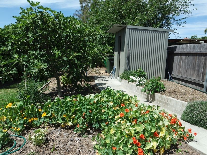 51 Marlee Street, Wingham NSW 2429