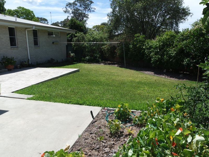 51 Marlee Street, Wingham NSW 2429