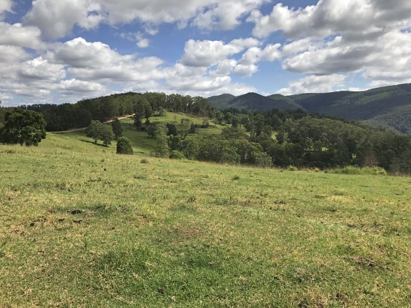 Cooplacurripa NSW 2424