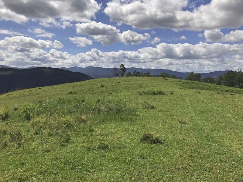 Cooplacurripa NSW 2424