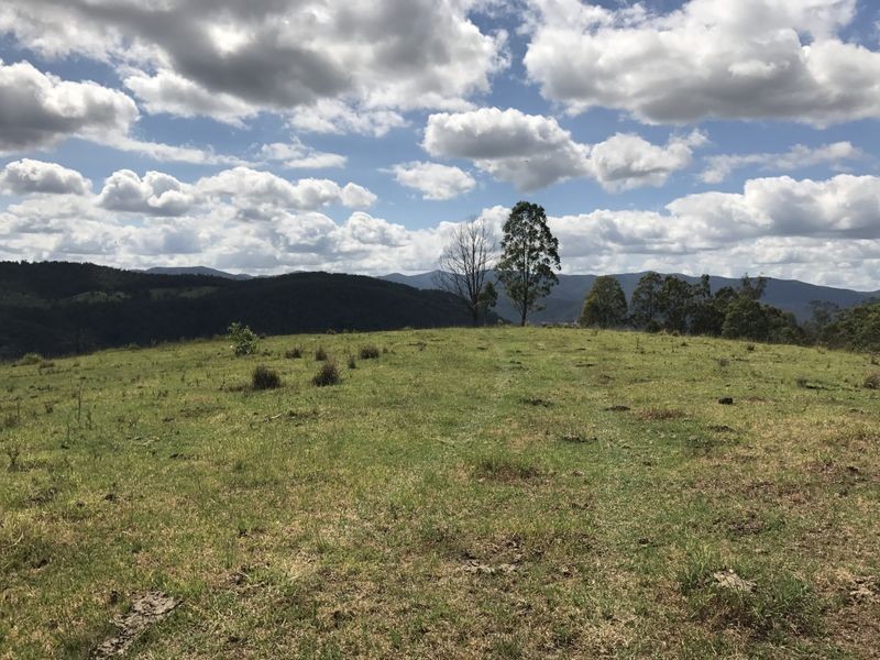 Cooplacurripa NSW 2424