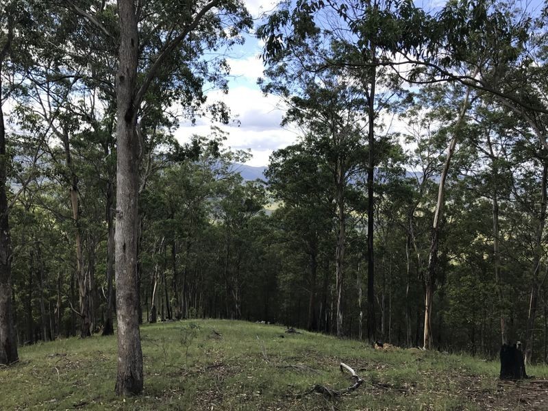 Cooplacurripa NSW 2424