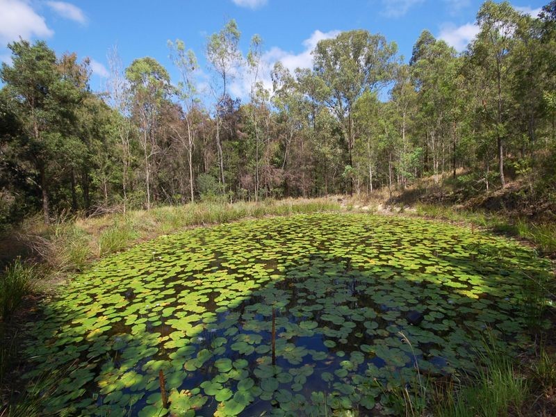 1443 Bulga Road, Marlee NSW 2429