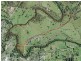 Wingham NSW 2429