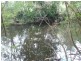 Wingham NSW 2429