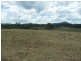 Wingham NSW 2429