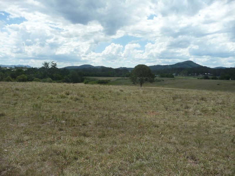 Wingham NSW 2429