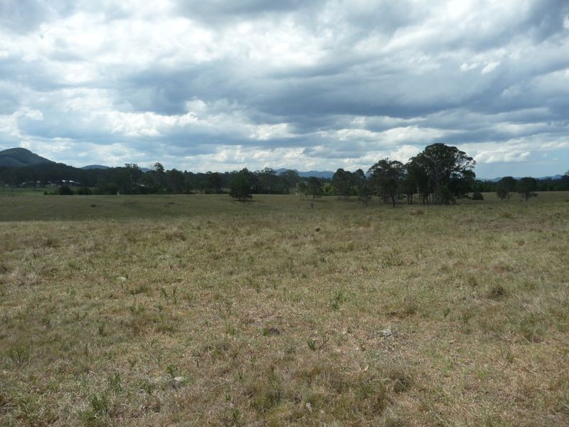 Wingham NSW 2429